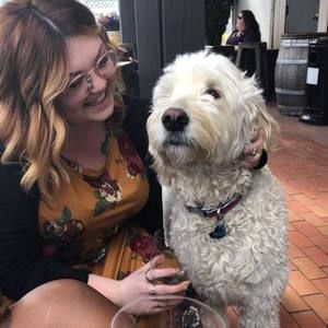 Meet your Posher, Bailey